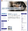 @ʑ@eXnEXp̂ēbsYI⑊@ڏZT|[gsY() | ڏZT|[gsYij